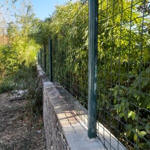 Pose de clôture souple, sur mur de clôture 2024-10-13 at 14.39.01 (1)